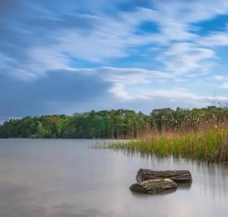 Alloggio in famiglia Extravagantes