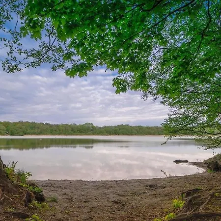 Alloggio in famiglia Extravagantes *