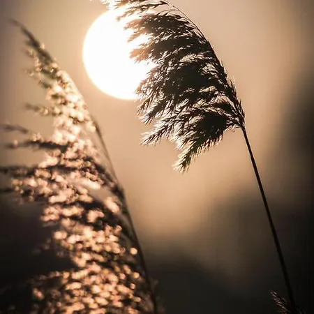 Alloggio in famiglia Extravagantes *