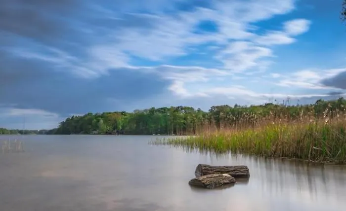 Homestay Extravagantes