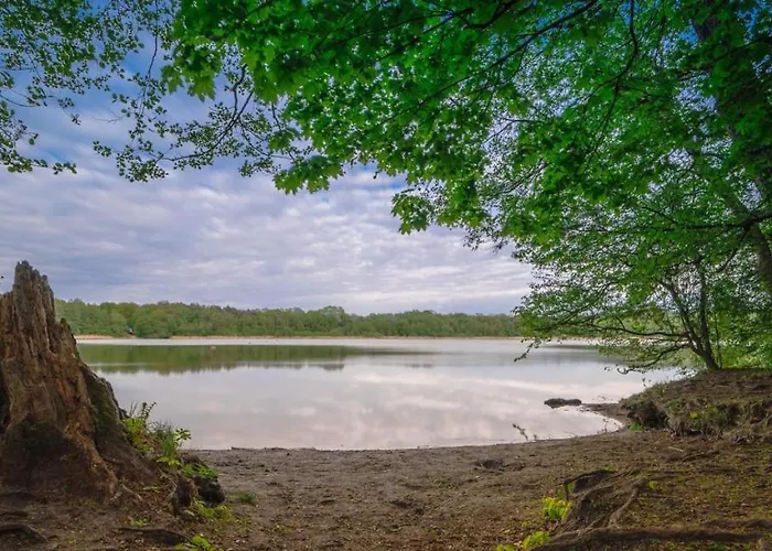 Homestay Extravagantes *