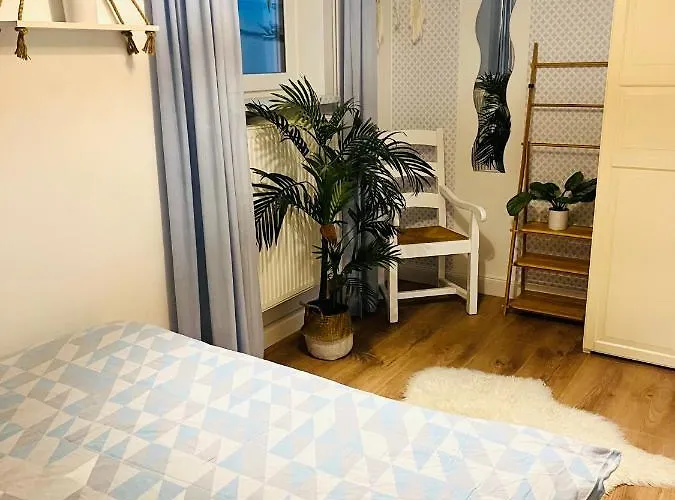 Homestay Extravagantes *