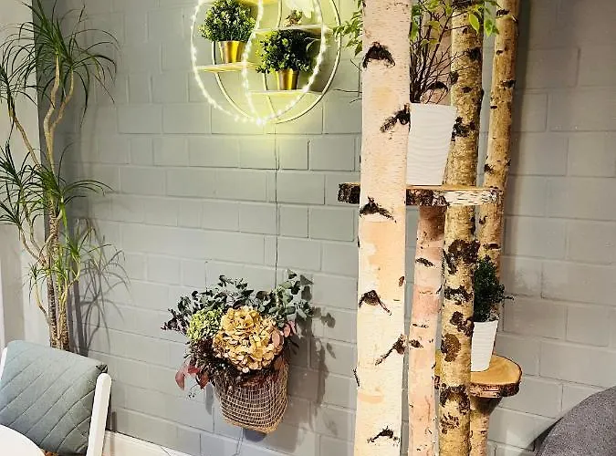 Homestay Extravagantes *